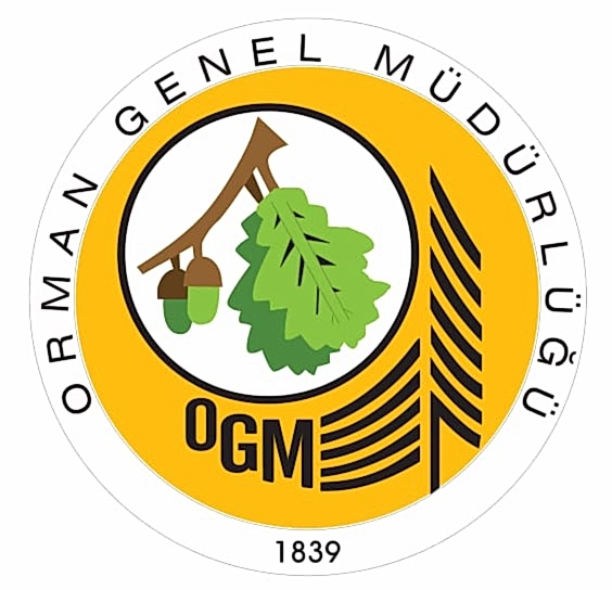 Orman Genel Müdürlüğü
